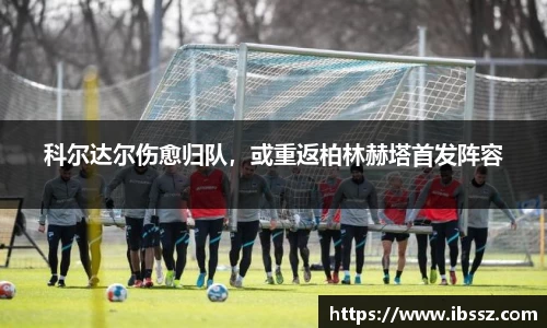 哈哈体育官网